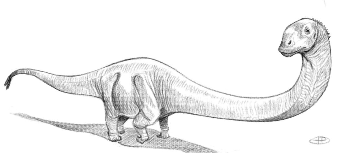 Harrison keller pyle on x a quick sketch of the chinese sauropod mamenchisaurus dinosaurs paleoart httpstcoojccyldxcl x