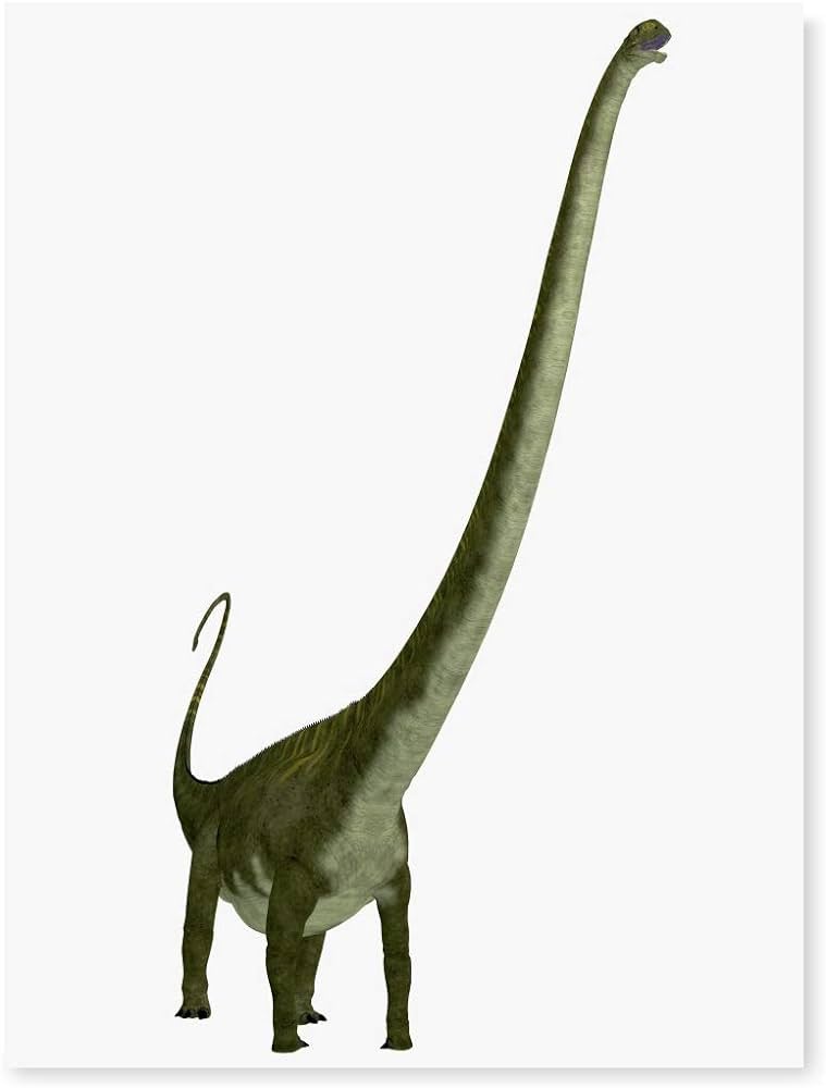 Mamenchisaurus was a herbivorous sauropod dinosaur that lived in the jurassic period of china poster print x posters prints