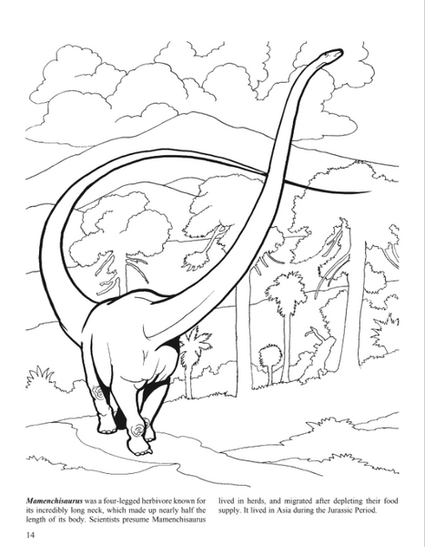 Dinosaurs coloring book â miller pads paper