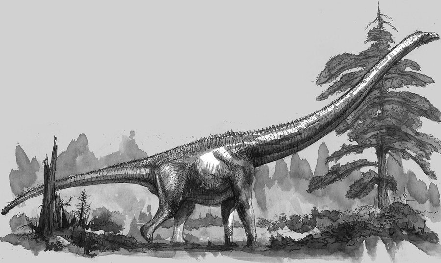 Mamenchisaurus pictures facts