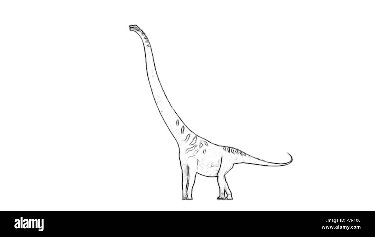 Mamenchisaurus cut out stock images pictures