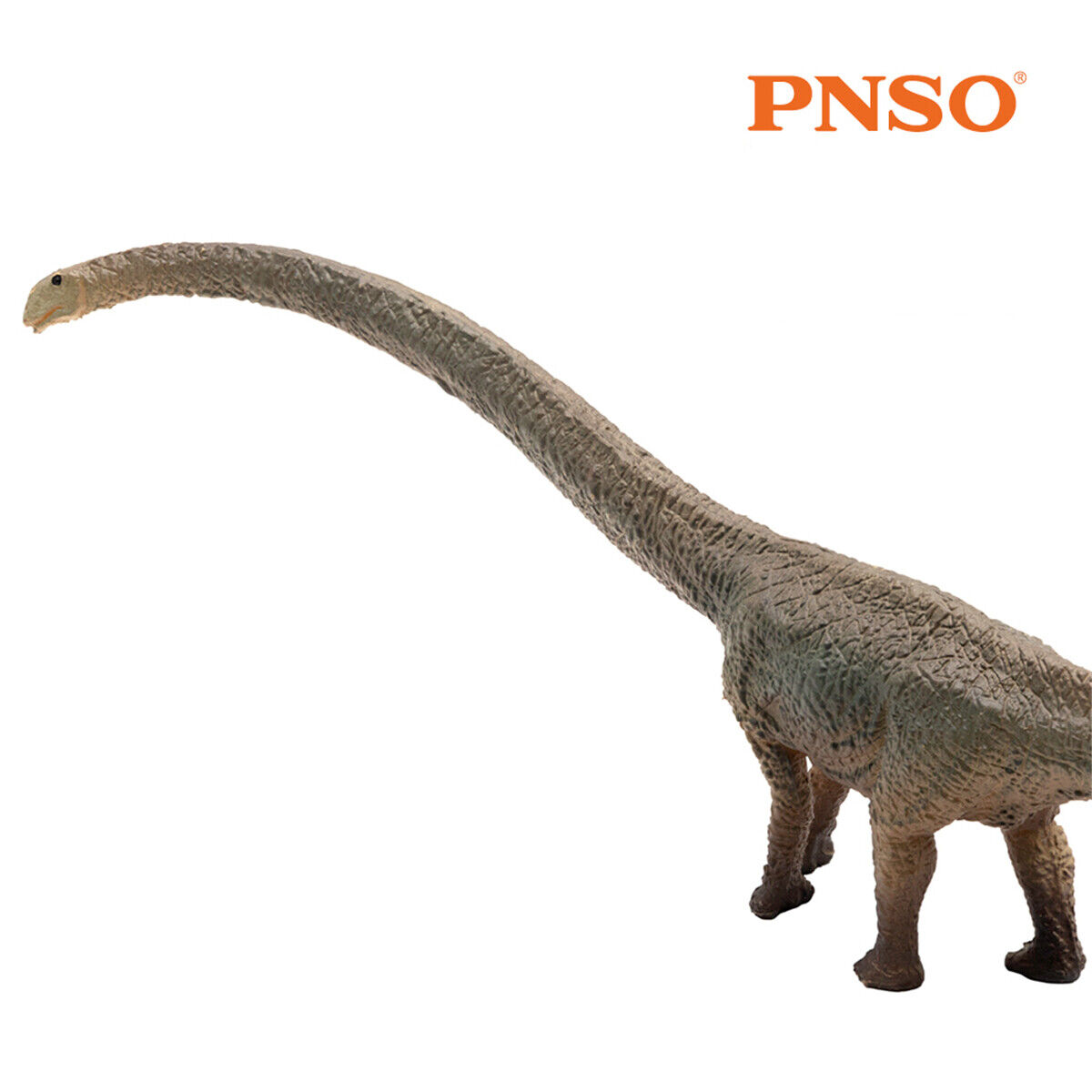 Pnso mamenchisaurus jurassic dinosaur figure collector animal decor kid toy gift