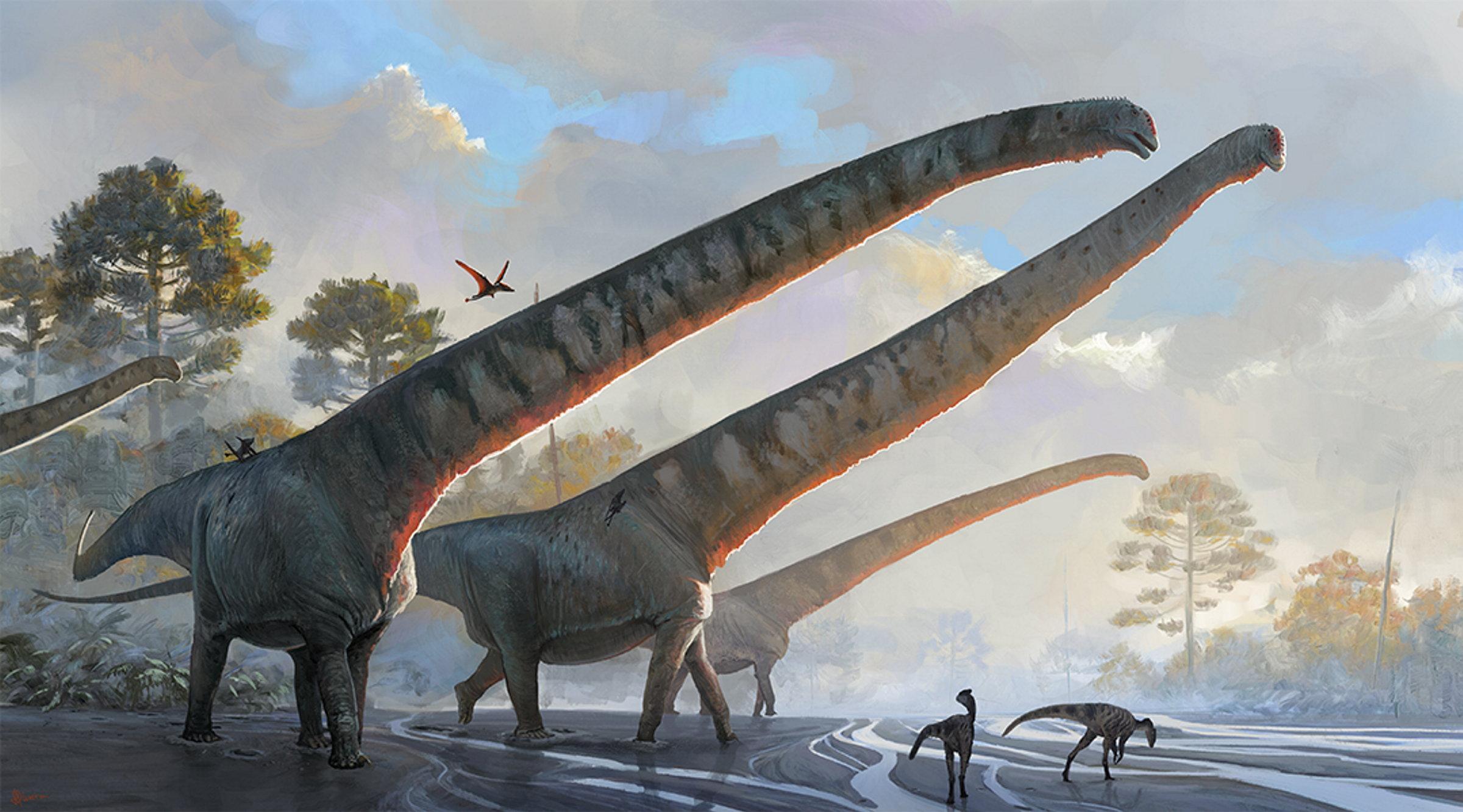 Jurassic dinosaur mamenchisaurus sinocanadorum had nearly