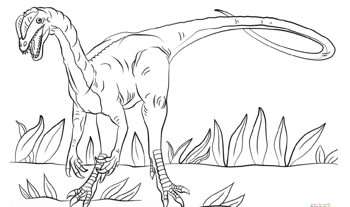 Jurassic park dilophosaurus coloring page free printable coloring pages keep toddlers busy