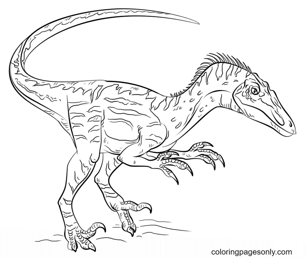 Jurassic world coloring pages printable for free download