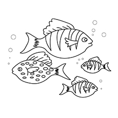 Top free printable fish coloring pages online