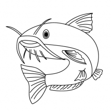 Top free printable fish coloring pages online