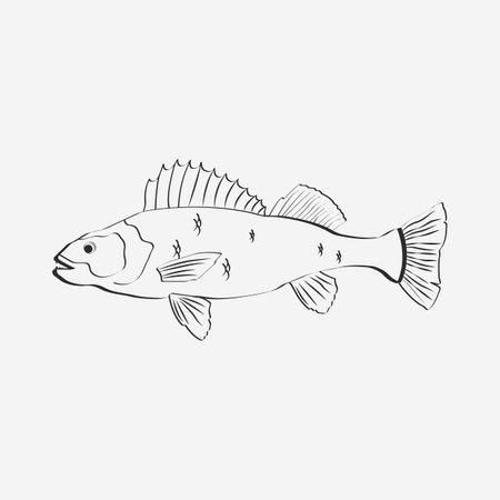 Outline drawing of fish stock photos and images