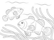 Fish coloring pages free coloring pages