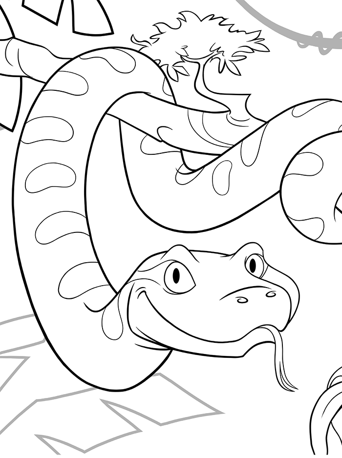 Bo the anaconda kids coloring activity kids answers