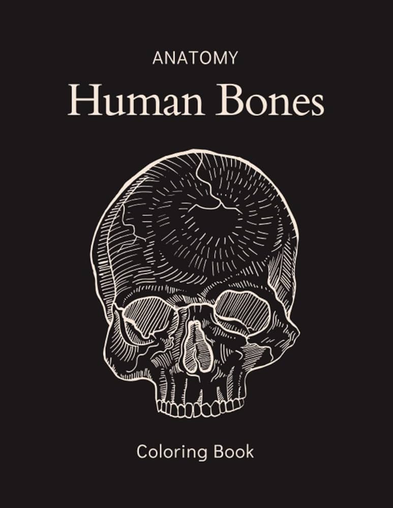 Anatomy human bones coloring book explore the inner structure of the human skeleton kachi oneil books