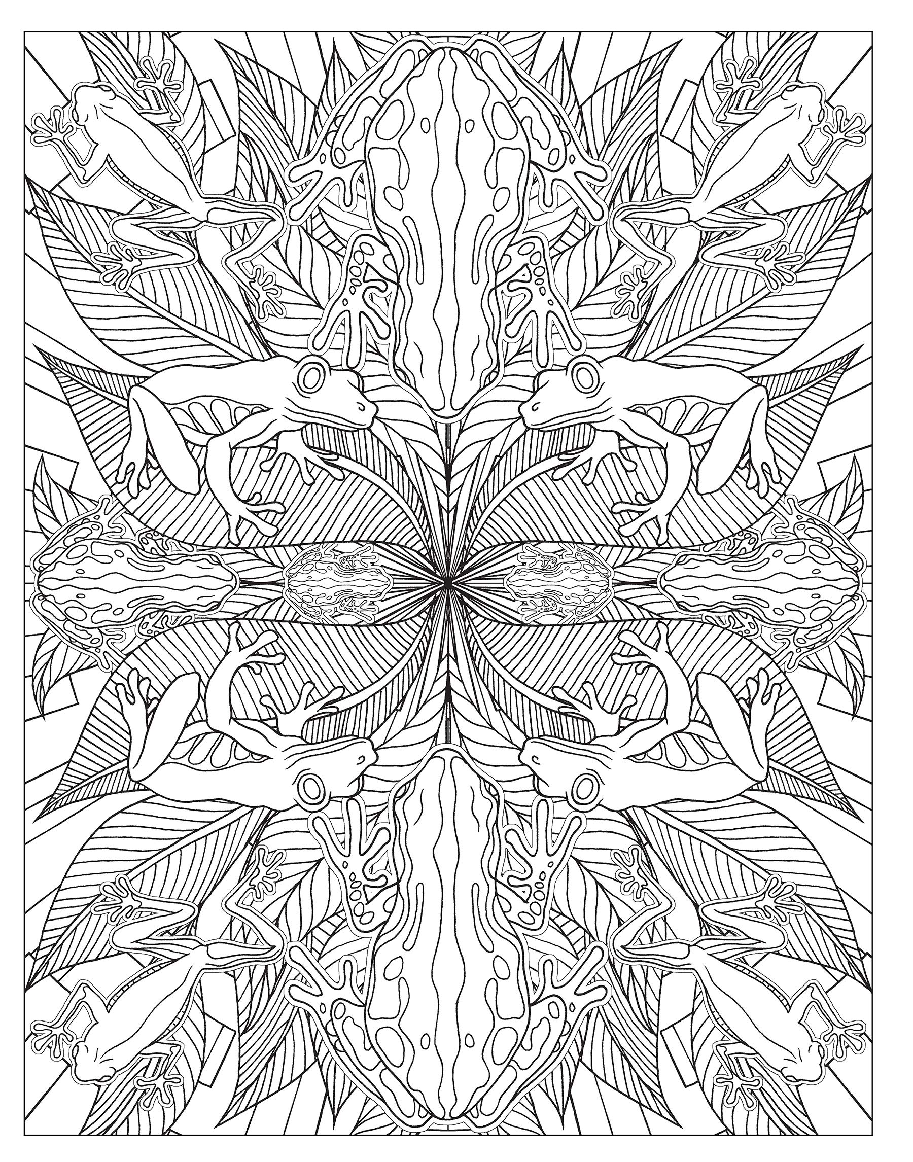 Animal kaleidoscope designs coloring book