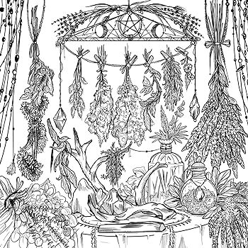 The green witchs coloring book from enchanting forest scenes to intricate herb gardens conjure the colorful world of natural magic green witch witchcraft series murphy