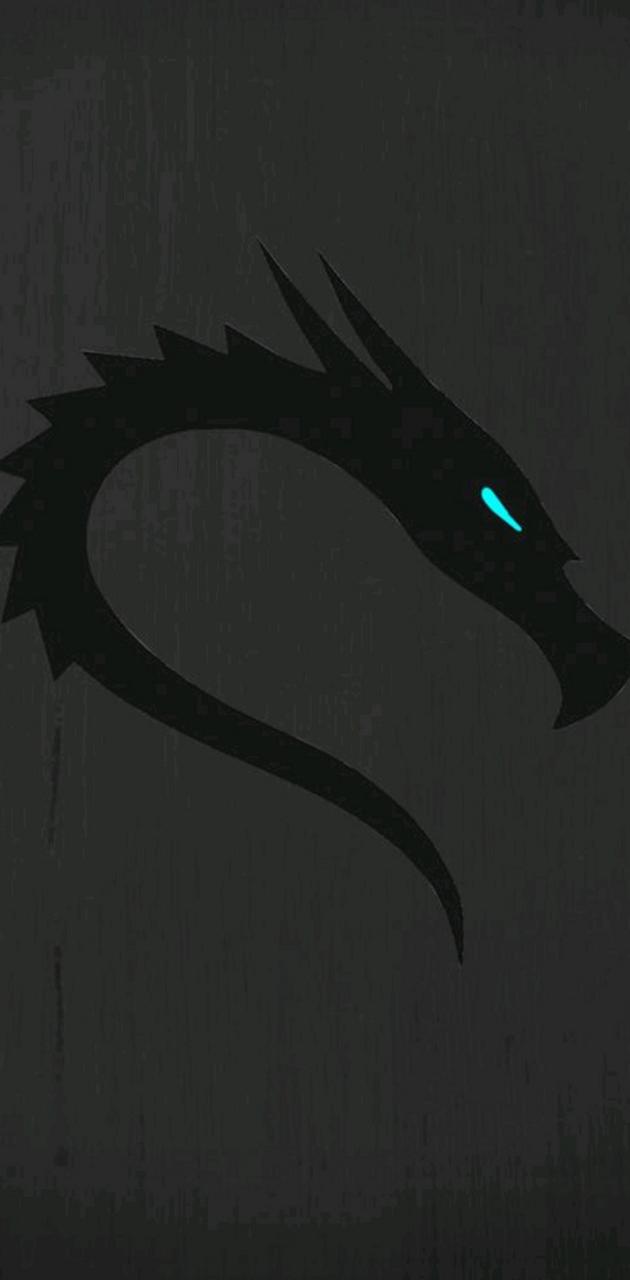 Download Free 100 + kali linux mobile Wallpapers