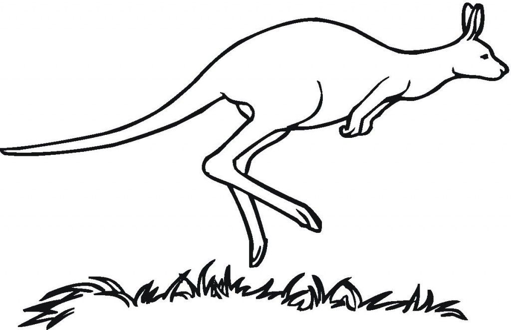 Free printable kangaroo coloring pages for kids animal coloring pages coloring pages australian animals