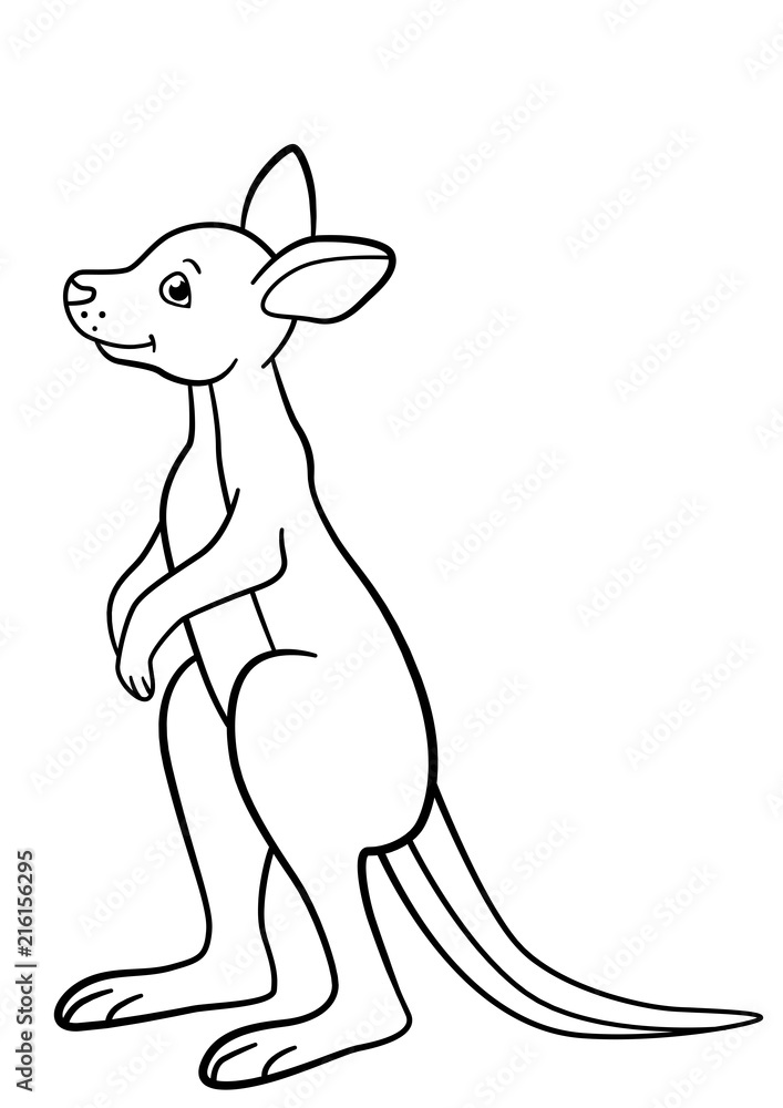 Coloring pages little cute baby kangaroo smiles vector