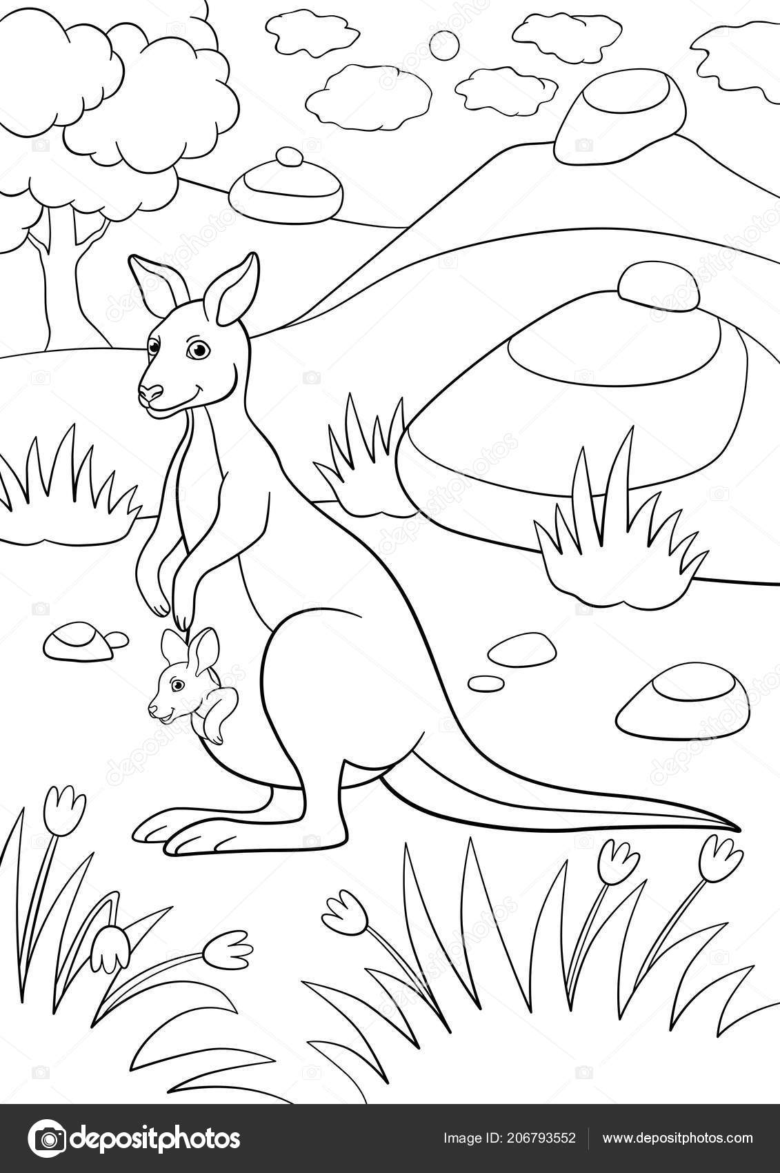 Coloring pages mother kangaroo her little cute baby stock vector by ya