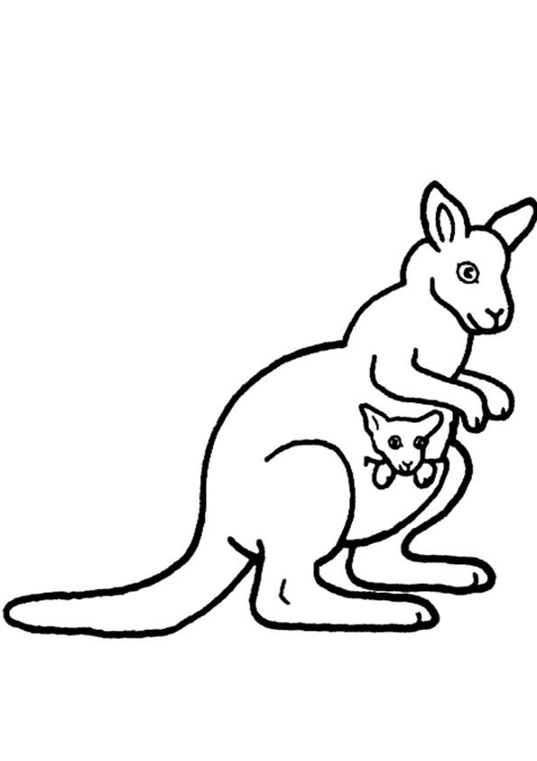 Kangaroo coloring page coloring pages zoo animals coloring pages for kids