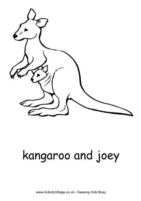 Kangaroo and joey colouring page animal coloring pages coloring pages kangaroo drawing