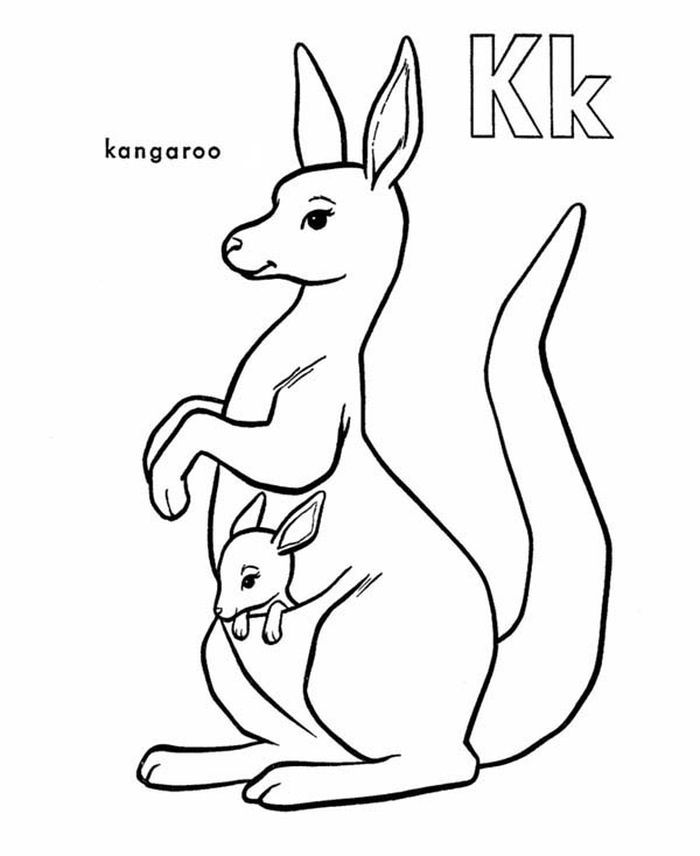 Kangaroo and joey coloring page animal coloring books animal coloring pages kangaroo drawing