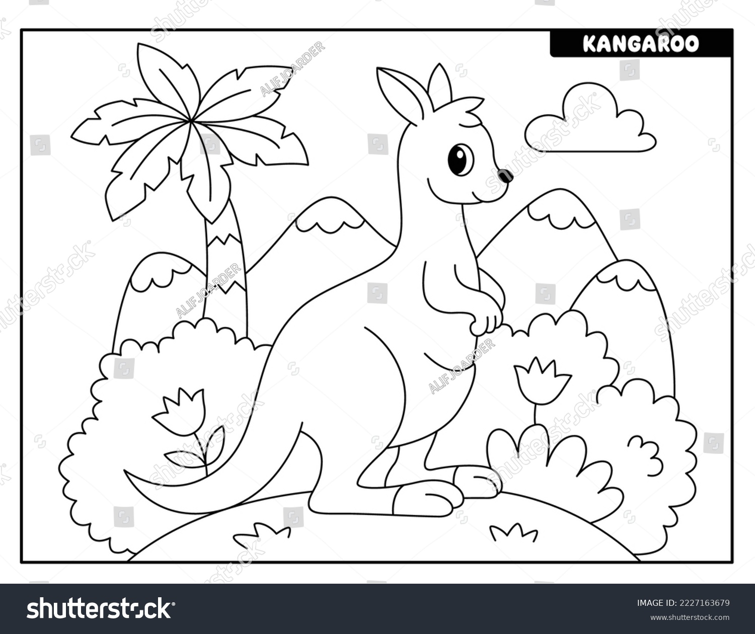 Kangaroo coloring page photos images and pictures