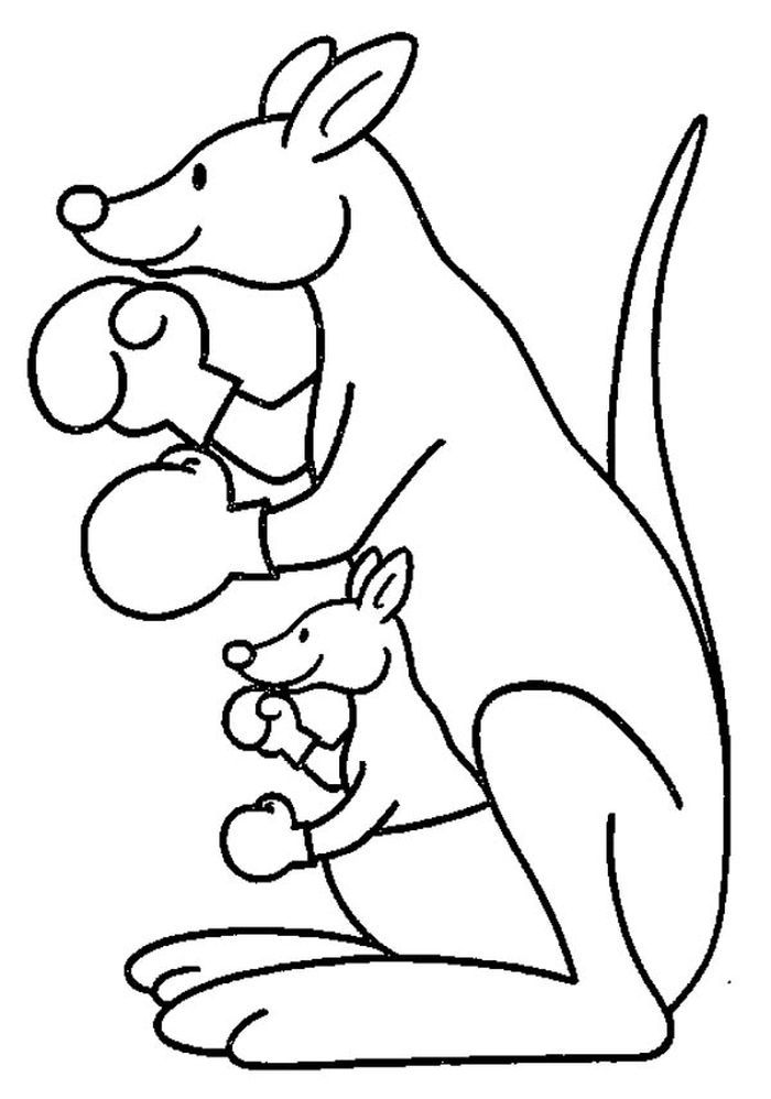 Kangaroo coloring pages pdf for kids