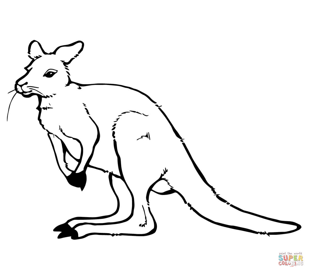 Cute kangaroo coloring page free printable coloring pages