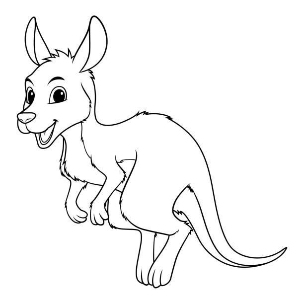 Kangaroo tail stock illustrations royalty