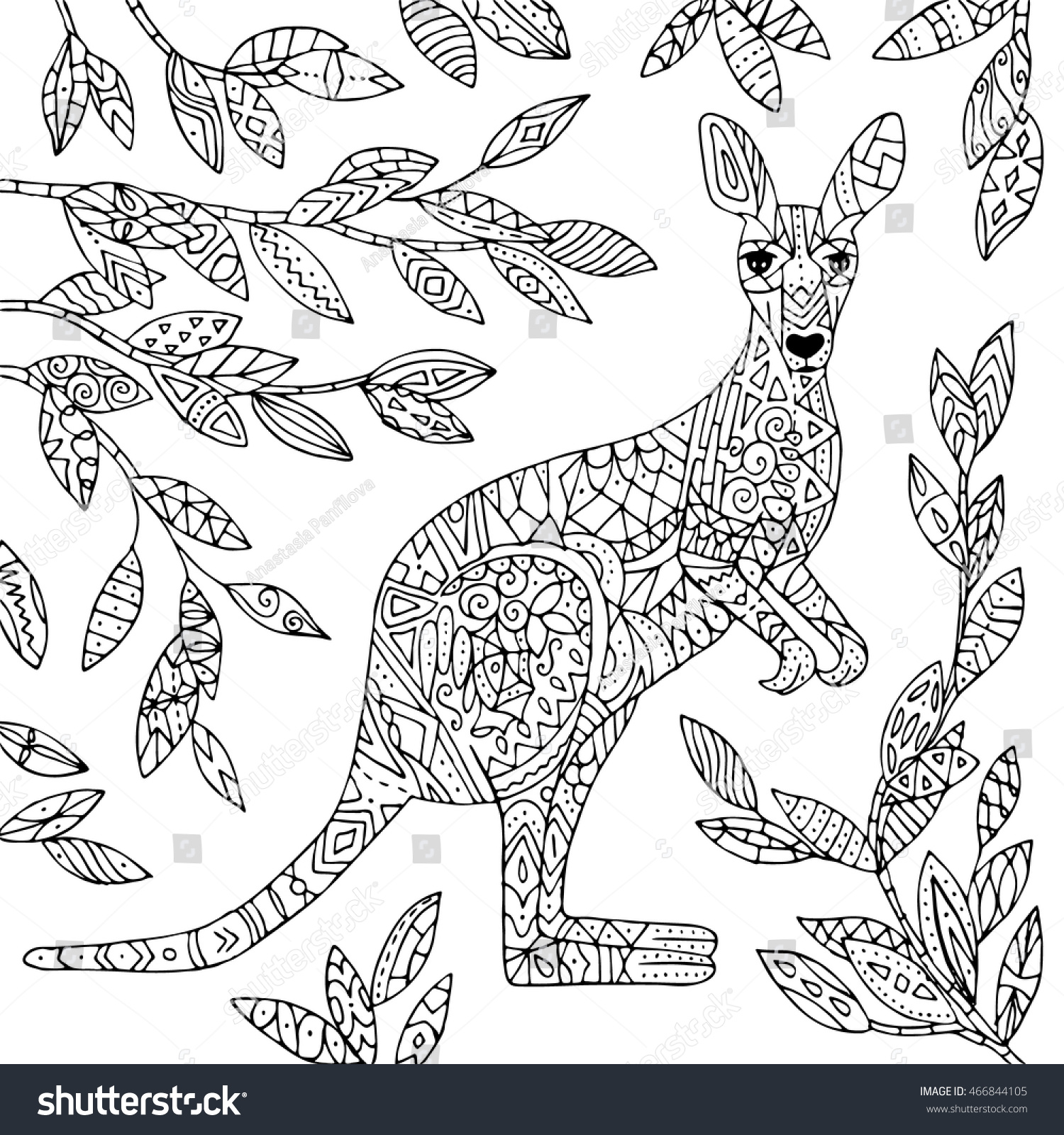 Vector kangaroo illustration adult coloring page stock vector royalty free