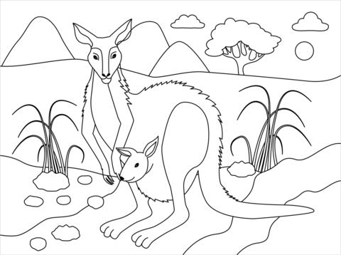 Kangaroo coloring page free printable coloring pages