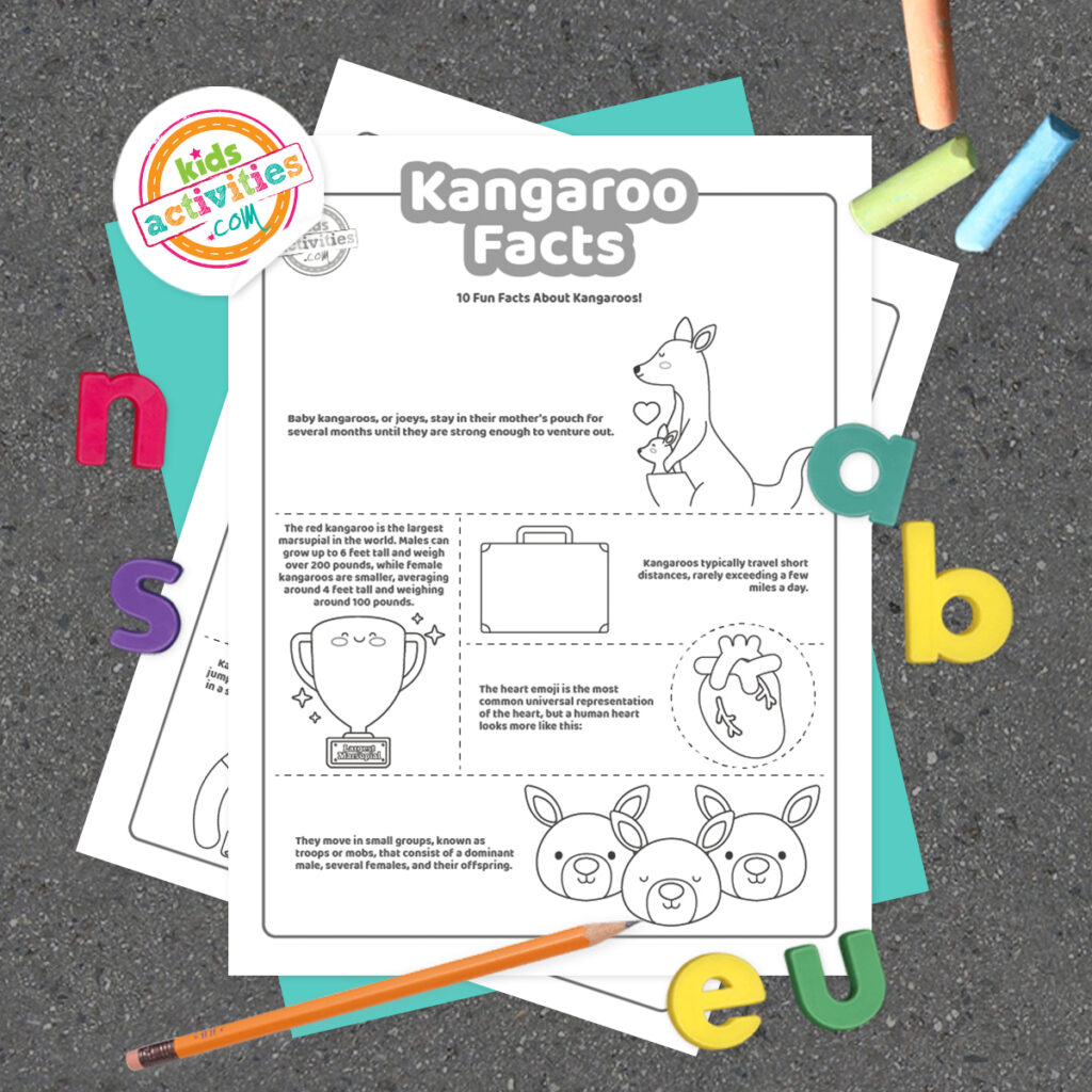 Kangaroo facts free printable coloring pages kids activities blog