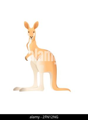 Cute adult kangaroo australian animal cartoon animal design vector illustration isolated on white background stock vector image art