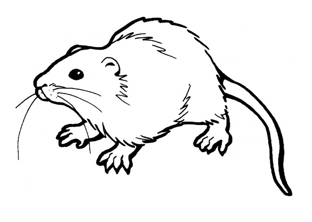 Free printable rat coloring pages for kids