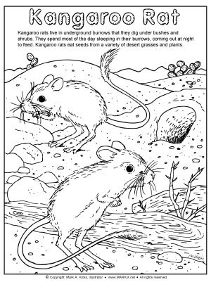 Pin by heather habben on usa coloring book coloring pages coloring books color