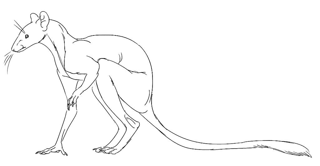 Rika on x look at this weasel kangaroo rat i made has a freaking horse chest httpstcojxiqdpyx x