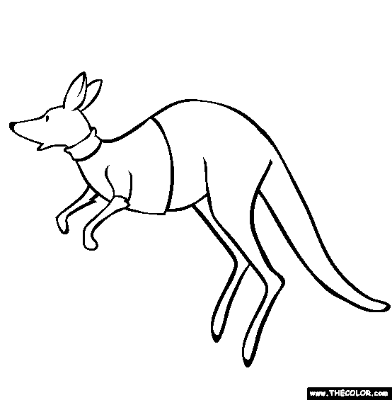 Kangaroo coloring page free kangaroo online coloring