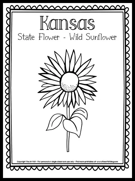 Kansas state flower coloring page the wild sunflower free printable â the art kit