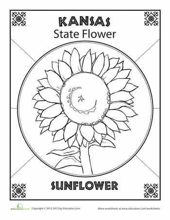 Kansas state flower worksheet education kansas state flower kansas day kansas