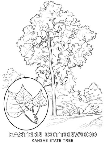 Kansas coloring pages free coloring pages