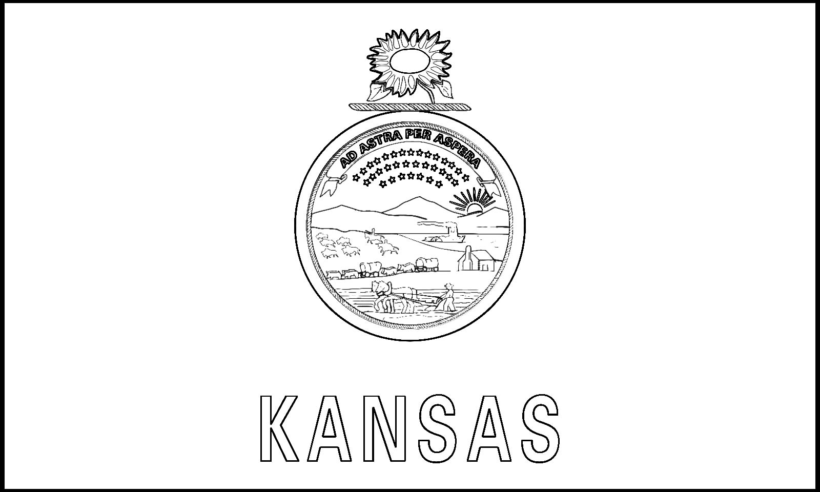 Kansas state flag