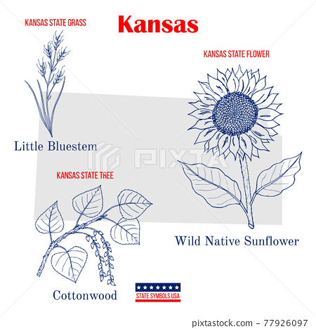 Kansas set of usa official state symbols