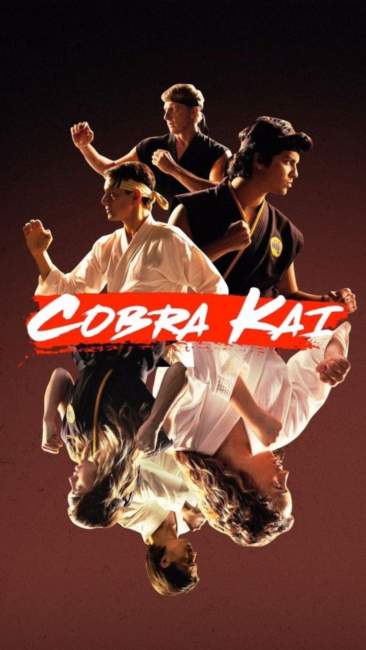 Cobra kai wallpaper explore more american cobra kai edy film karate kid wallpaper httpswwwwâ in cobra kai wallpaper karate kid cobra kai cobra kai dojo