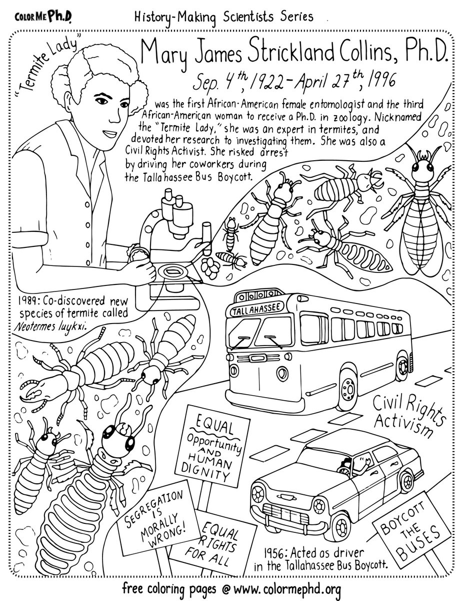 Colormephd on x dr angie turner king left an inspiring legacy among her students were nasa mathematician katherine johnson and entomologist civil rights activist dr mary collins we made coloring pages