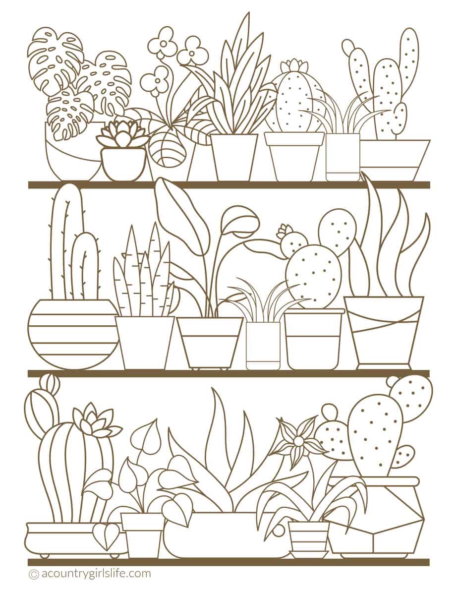 Free printable adult coloring pages