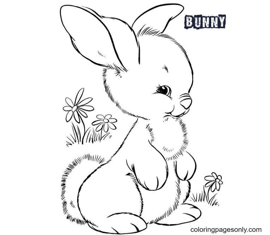 Cute bunnies coloring pages printable for free download