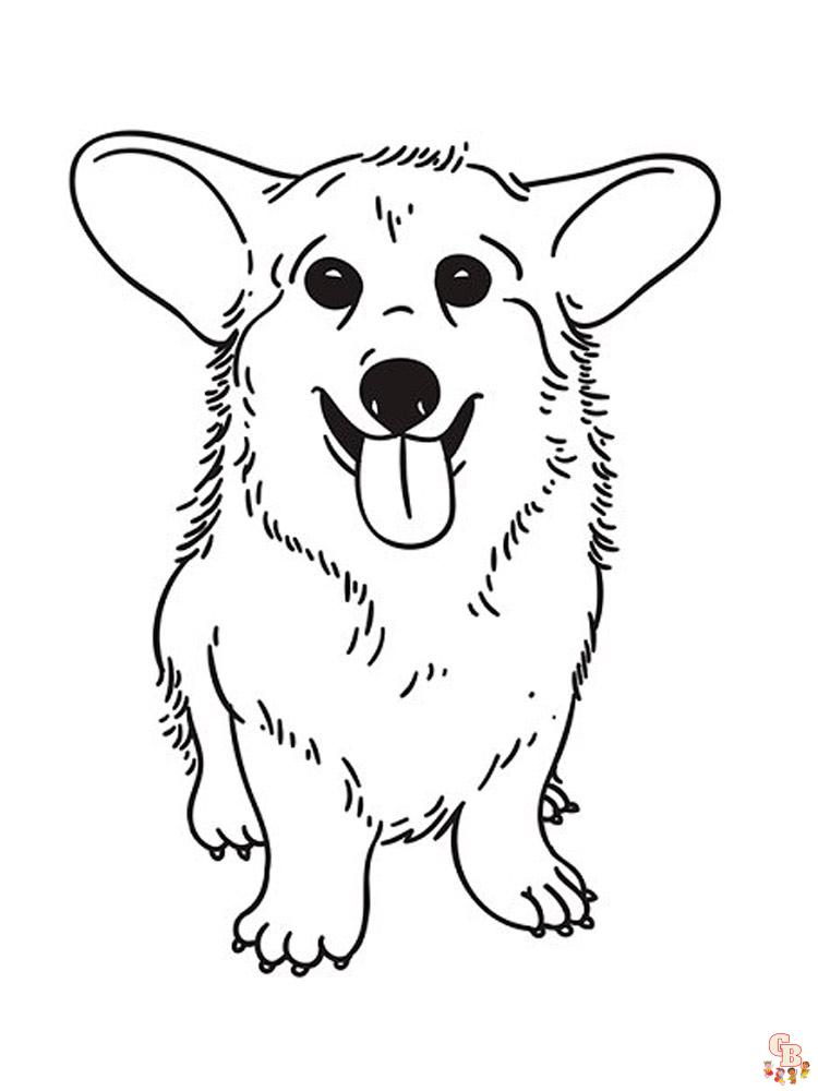Free corgi coloring pages download print today