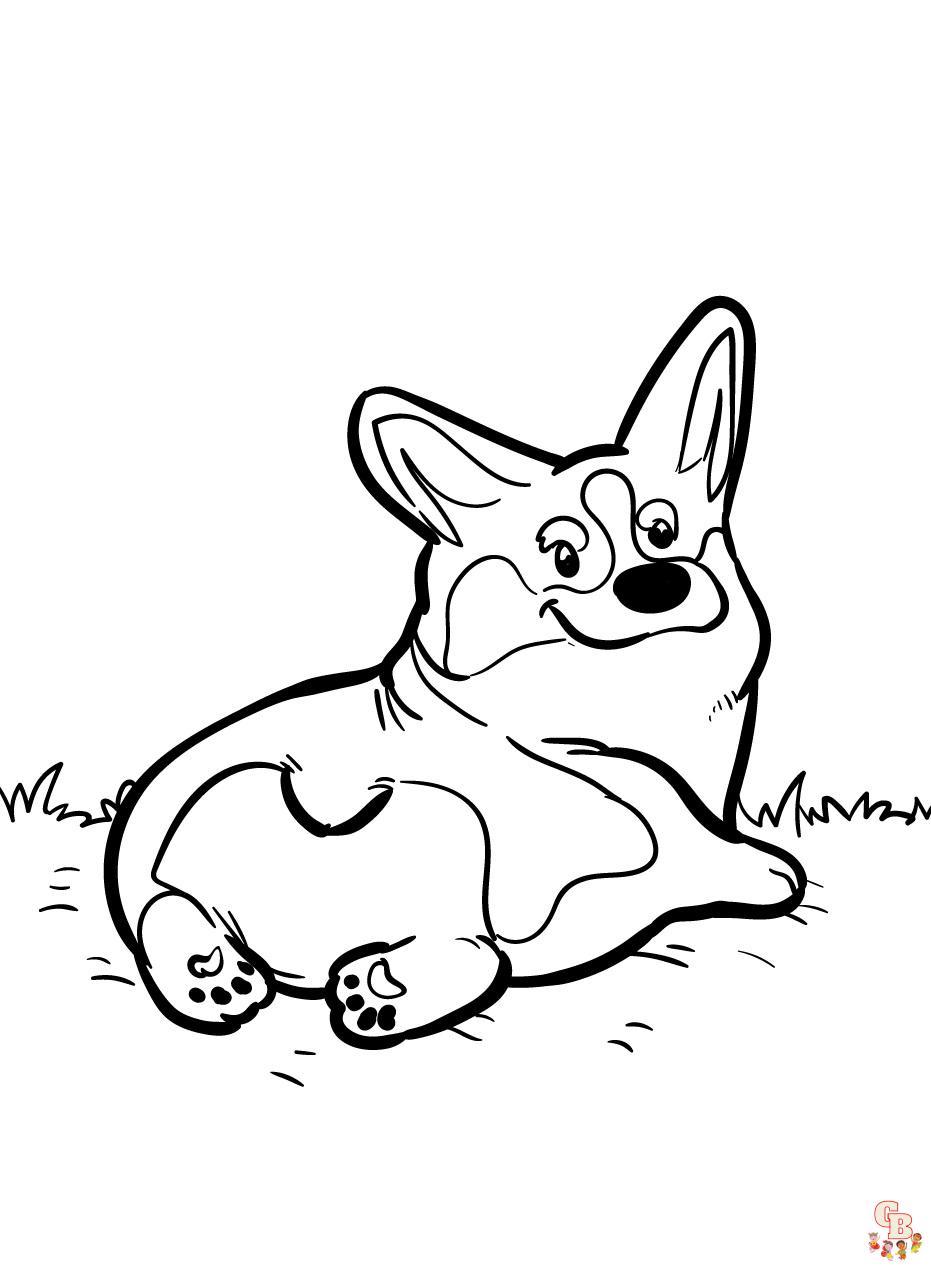 Cute corgi on grass coloring pages fun and free printable sheet