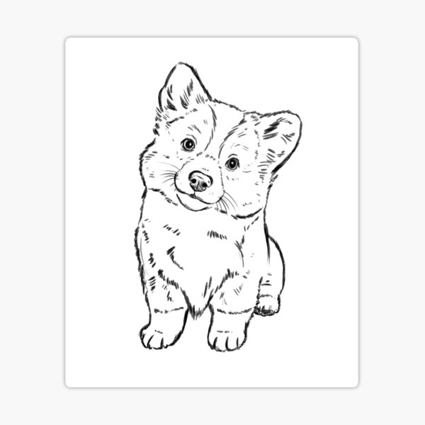 Corgi puppy sketch sticker for sale by stacey hsu