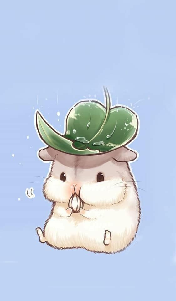 Download Free 100 + kawaii hamster Wallpapers