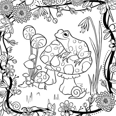 Frog and mushrooms coloring page c